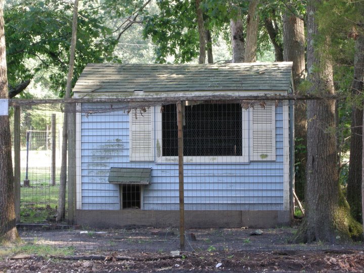 henhouse1a