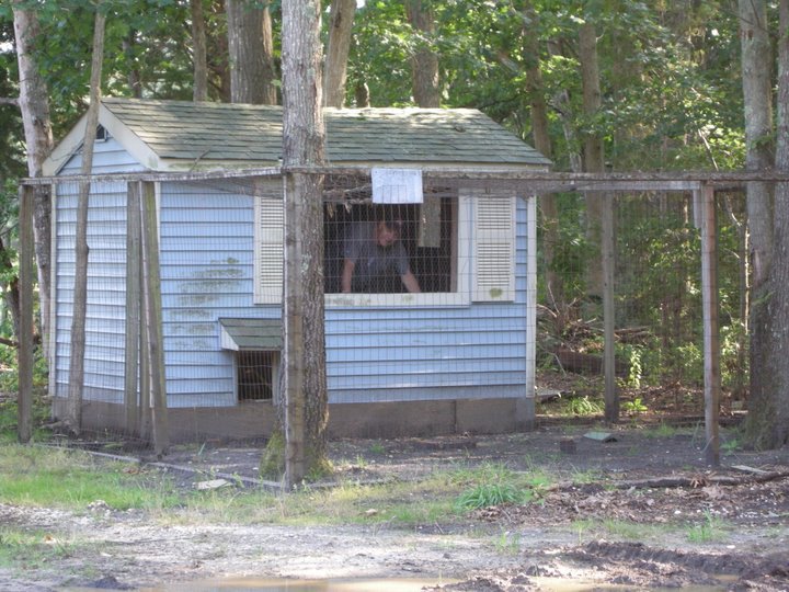 henhouse1b