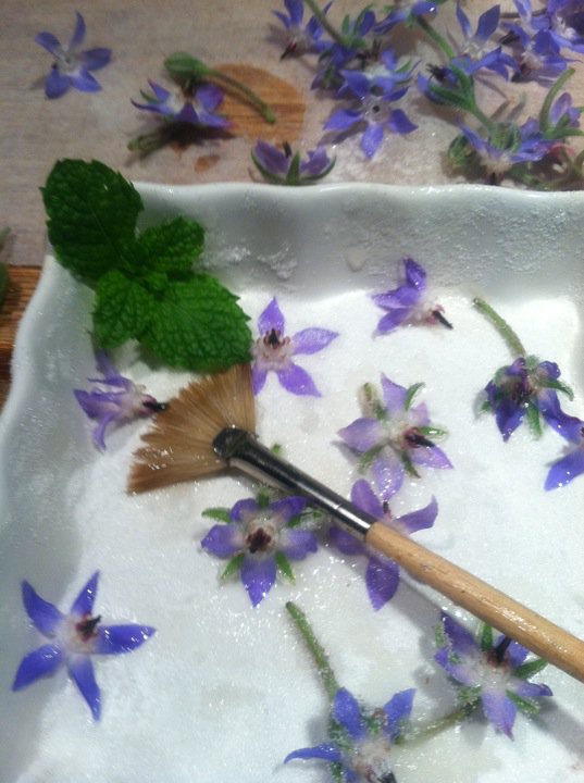 borage candied